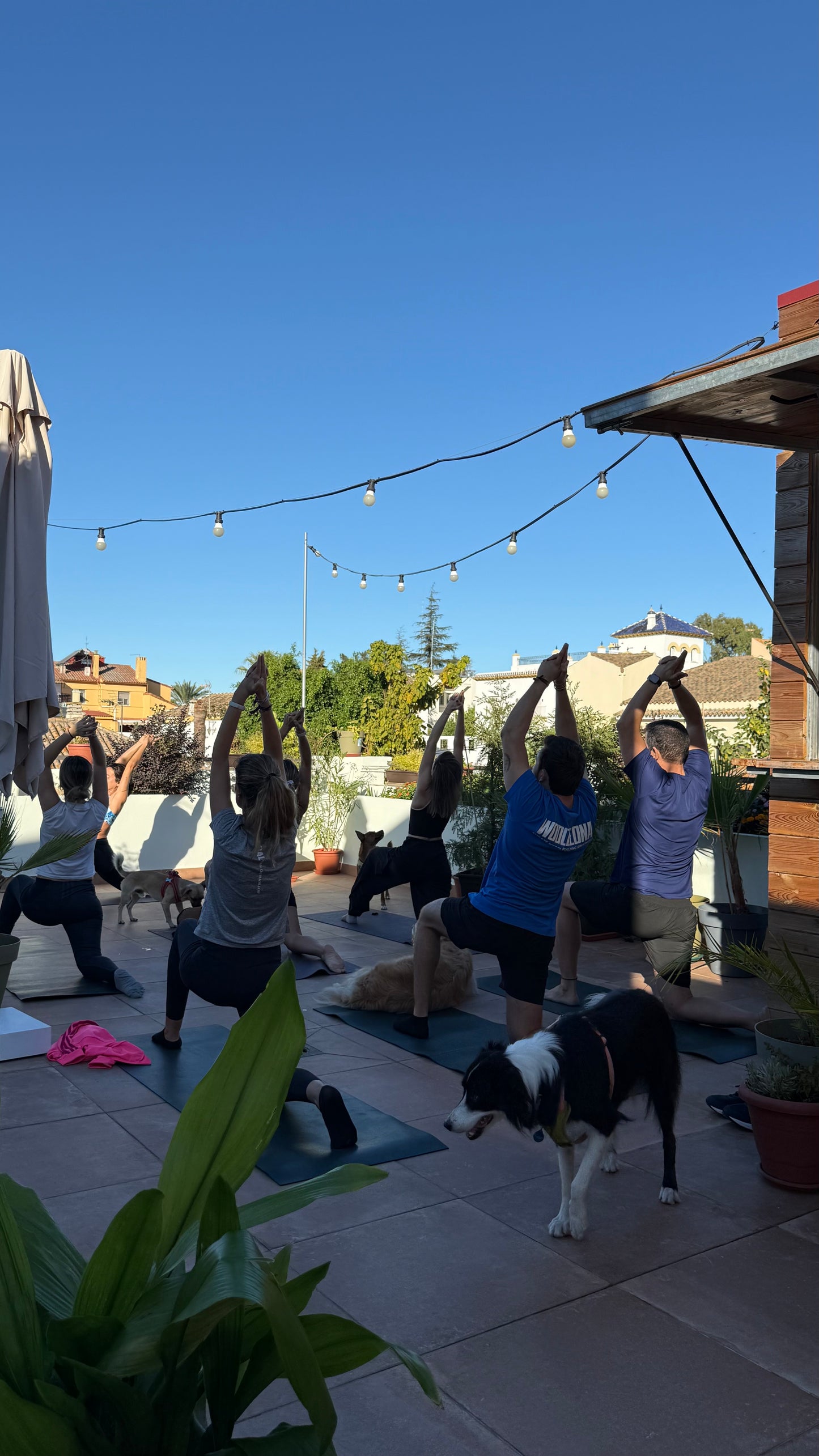 Yoga + Charla + Brunch