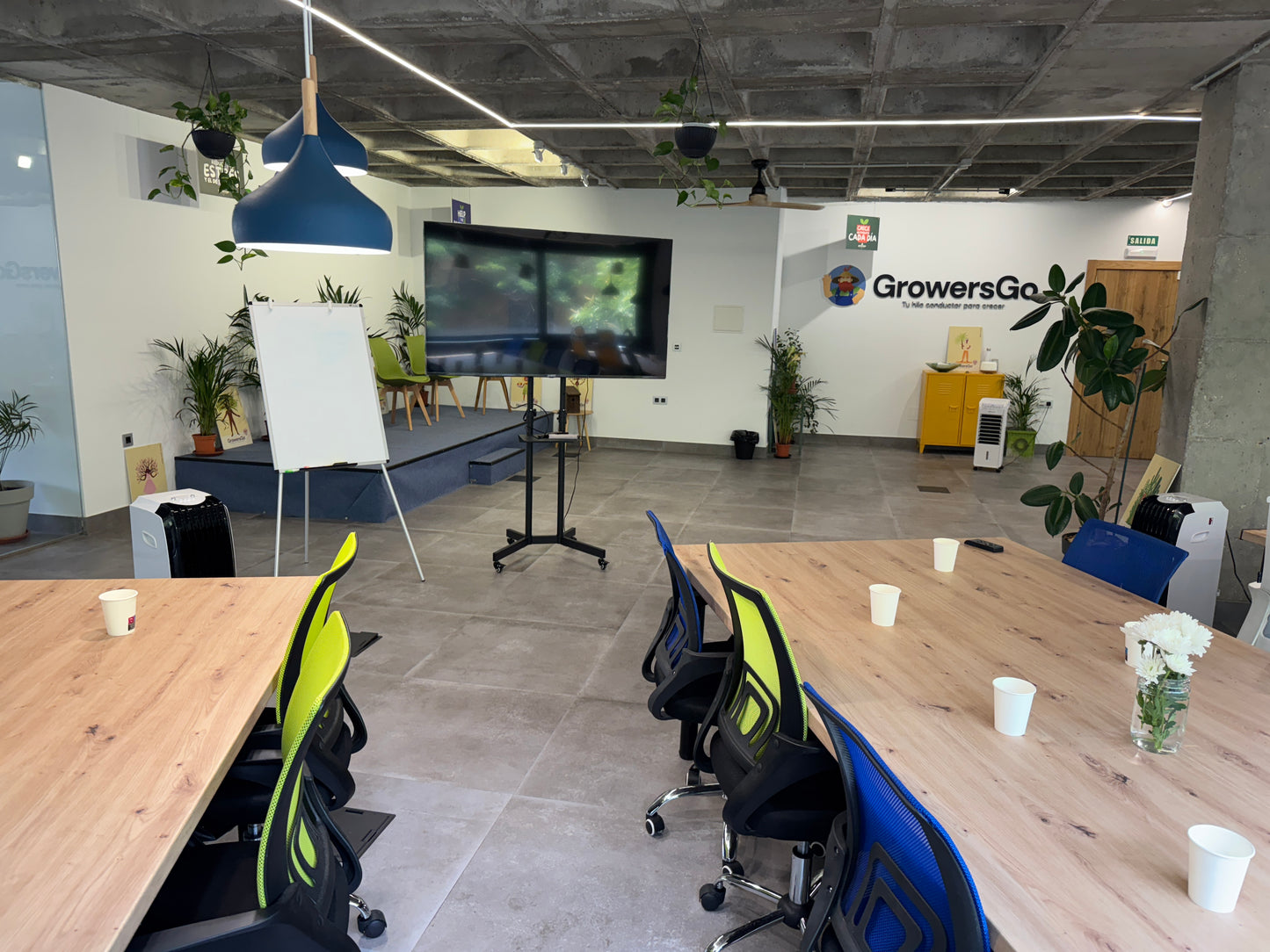 Armoniza cuerpo, mente y emociones