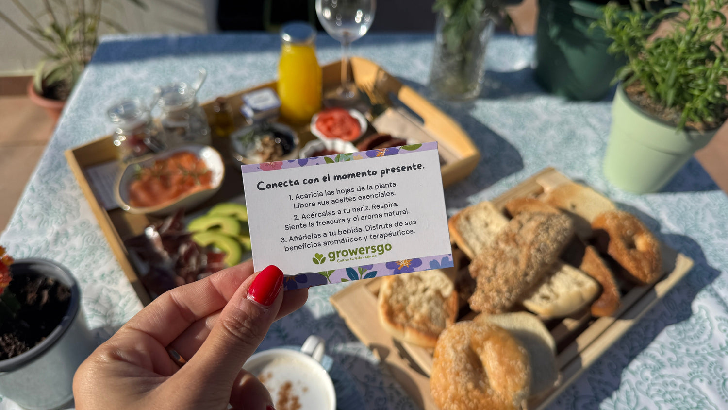 Paquetes antiestrés