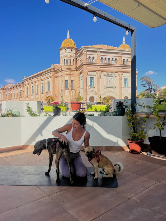 Yoga con tu mascota y desayuno saludable