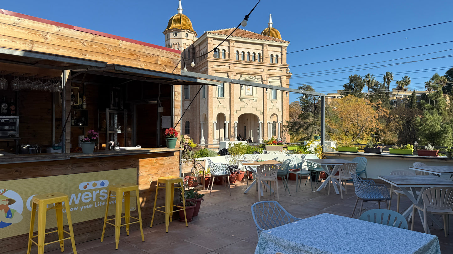 Manos en la Tierra: Experiencia creativa entre arcilla y plantas + Brunch