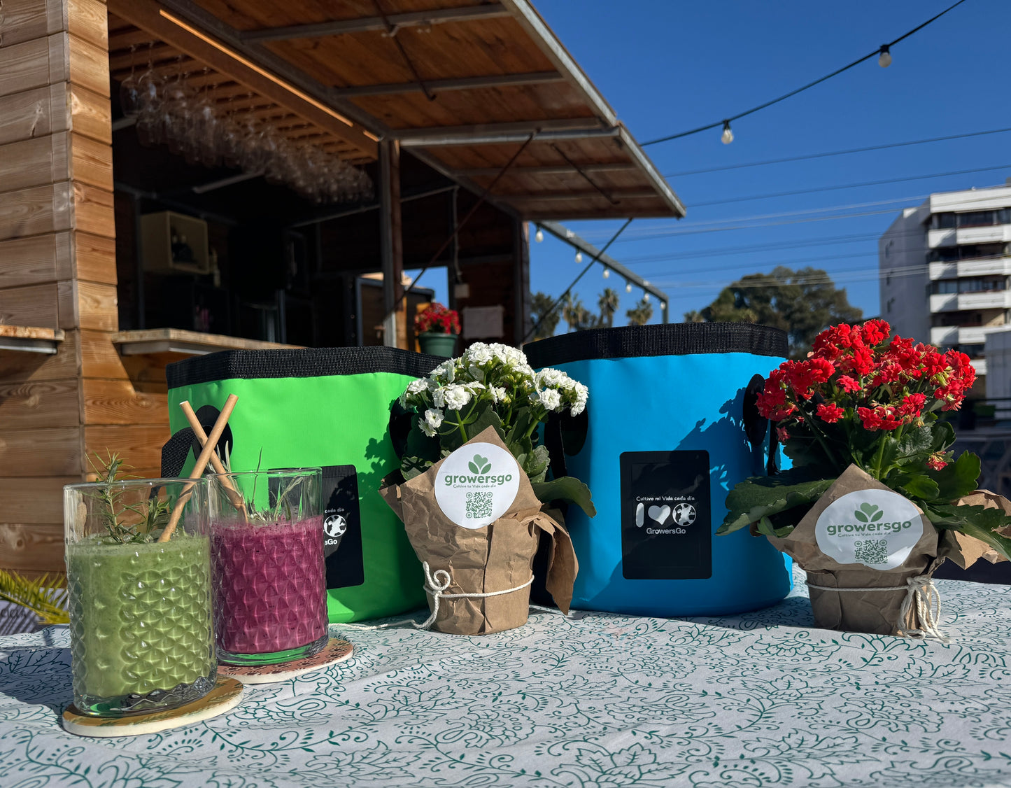 Cubito de ducha Growers