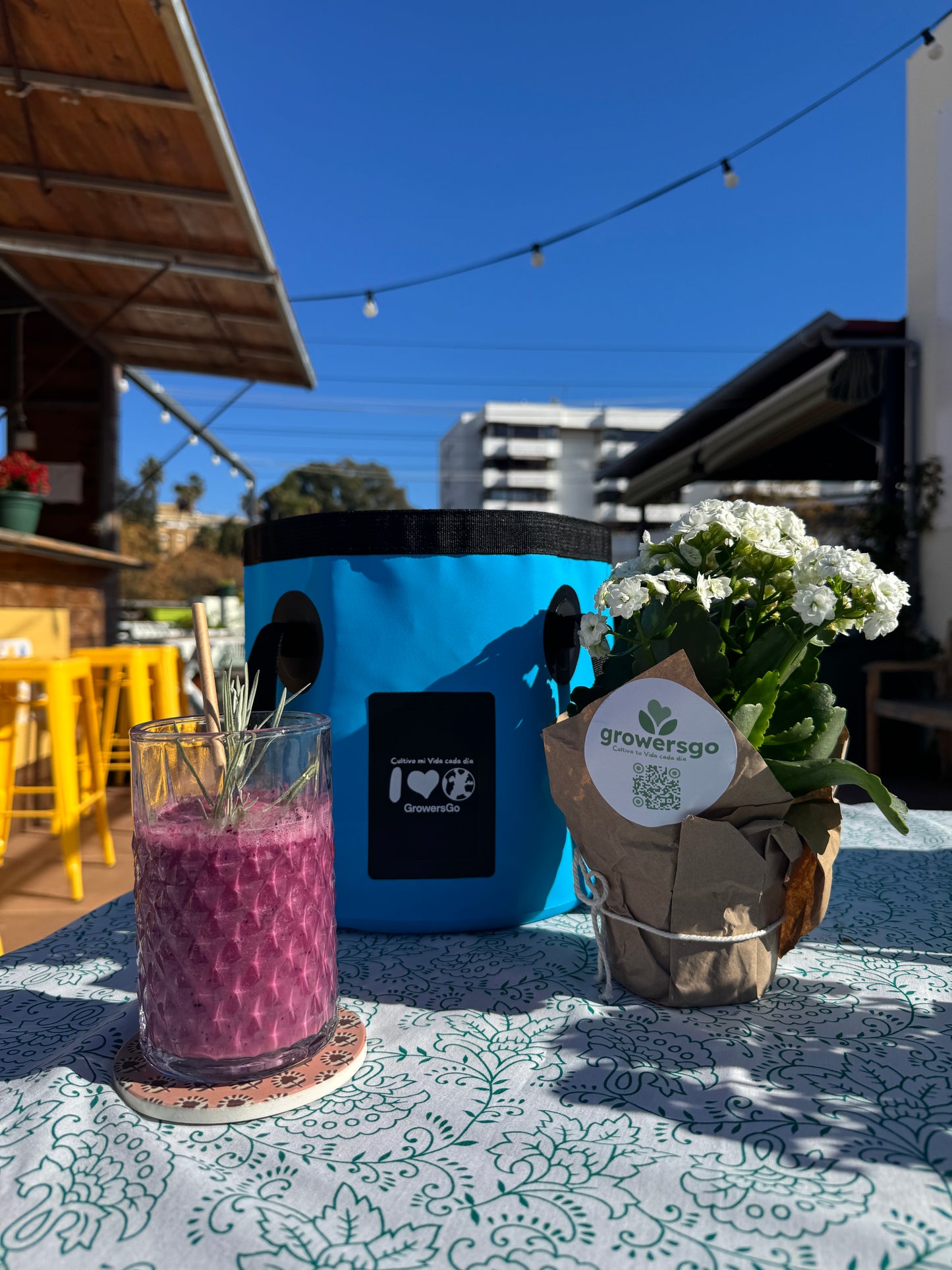 Cubito de ducha Growers